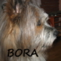 images/avatars/avatar-4559.jpg