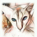 images/avatars/avatar-4584.png