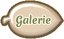 Galerie