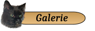 Galerie