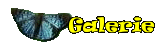 Galerie
