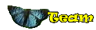 Teammitglieder